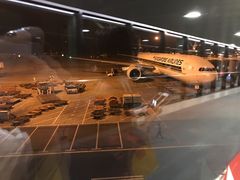 -新加坡航空公司(ION)