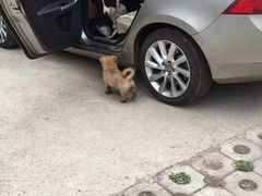 -淇河国家湿地公园