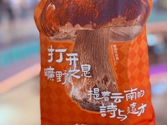 -芸山季·云南野生菌火锅(南翔印象城MEGA店)