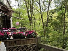 -宋宴(虎跑店)