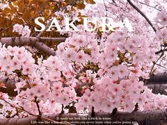 -川沙古镇-停车场