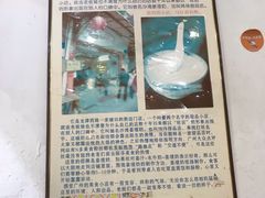 -沙湾姜埋奶(兴新包店)