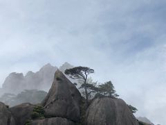 -黄山玉屏楼宾馆餐厅