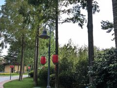 -芭东小镇温泉