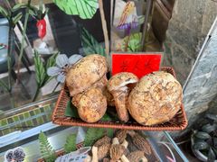 -原林野山菌火锅·炒菌(关上野生菌一条街店)