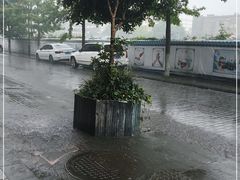 -叶婆婆豆浆馍馍