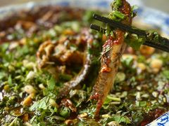 豆腐泥鳅-周鱼鳅饭店