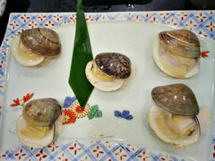 -红叶日料·放题·海胆·定食(星海店)