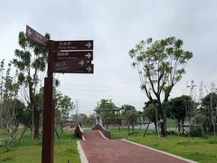 -王借岗森林公园