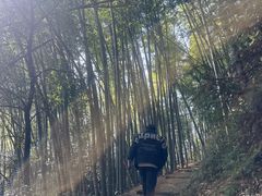 -仙霞关景区