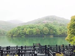 -白马涧龙池景区