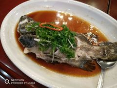 -御满江海鲜酒家(洛溪新城店)