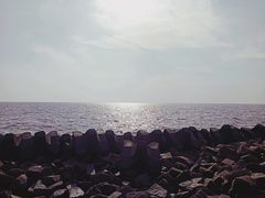 -南汇嘴观海公园