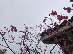 -无锡梅园公园