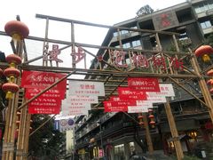 -泡桐树街