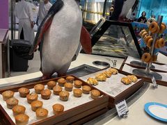 -帝企鹅自助餐厅•儿童岛•真企鹅(长隆企鹅酒店)