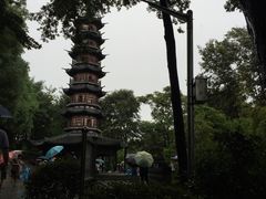 -上海佘山国家森林公园西佘山园