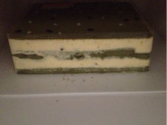 iphone_upload_pic-伊诺仕蛋糕