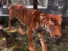 -国家自然博物馆