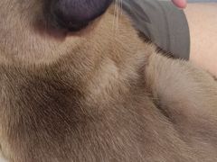 -藏猫猫咖啡主题馆(中央大道店)