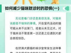 -瑞派申生动物医院·24H夜诊·国际动物医疗中心·骨外科(吴中路店)