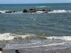 -海合安青岛极地海洋公园