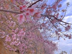 -捞渔河湿地公园