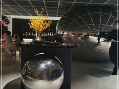 -CHIC1699远洋私厨
