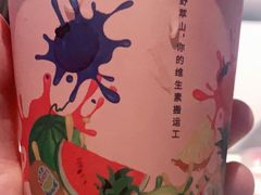 -野萃山·潮汕厚果汁(十亩地店)