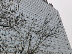 -中国人民解放军总医院(301医院)