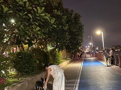 -澳门环岛游湾仔码头