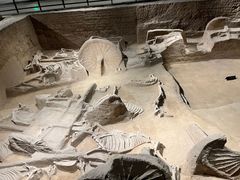 -洛阳周王城天子驾六博物馆