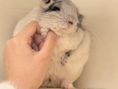 -龙猫仔乐园(惠福东路店)