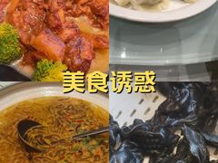 -添福来墨鱼饺子 · 海鲜东北菜(大连星海·黄浦路店)