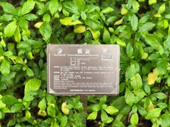 -广西壮族自治区药用植物园