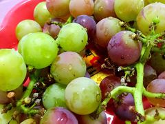 -乡乐园蟹庄·阳澄湖农家乐