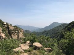-大岭沟猕猴桃谷风景区