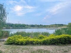 -马家湾湿地公园