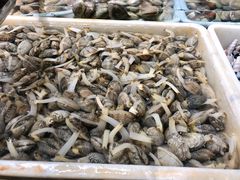 -岳各庄批发市场(西四环中路店)