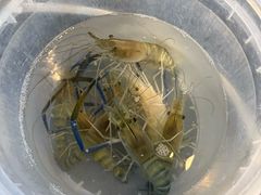 -粮心小农·大头虾亲子生态园(长发店)