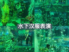 -大连老虎滩海洋公园