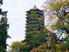 -北京大学赛克勒考古与艺术博物馆