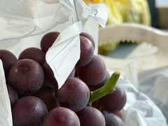 -马陆小张葡萄园农家乐