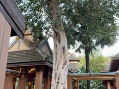 -西双版纳洲际度假酒店-泰傣餐厅