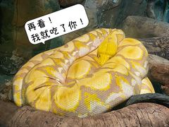 -广州长隆野生动物世界