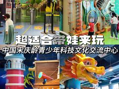 -中国宋庆龄青少年科技文化交流中心