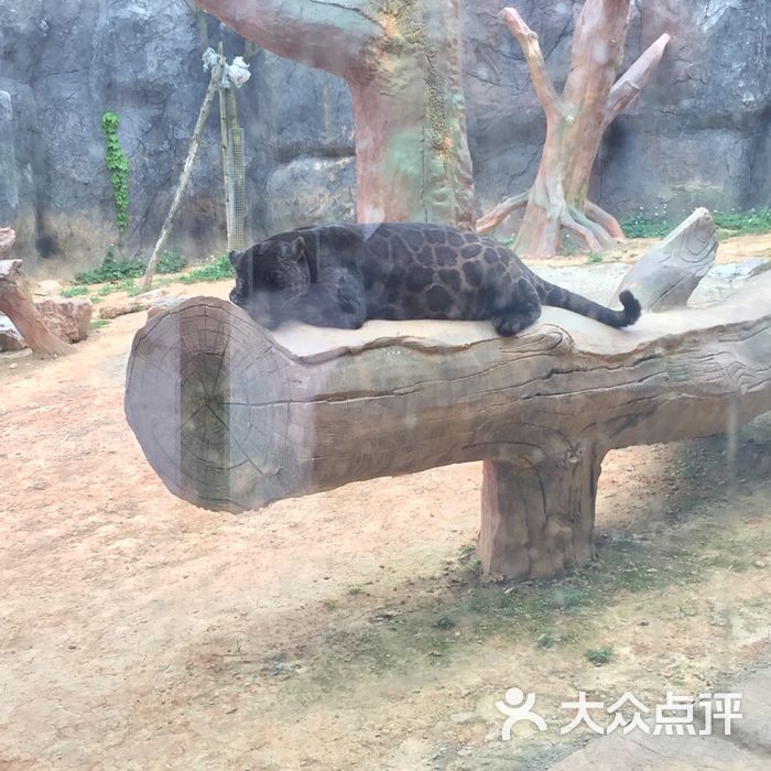 杭州野生動物世界