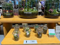 -十八字金银饰·拼豆·开蚌手工体验团建(君太百货店)