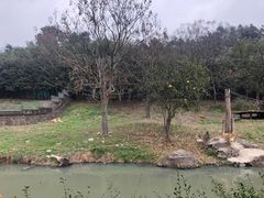 -宁波野生动物园
