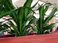 -园林宾馆·鸿运楼(越山路店)